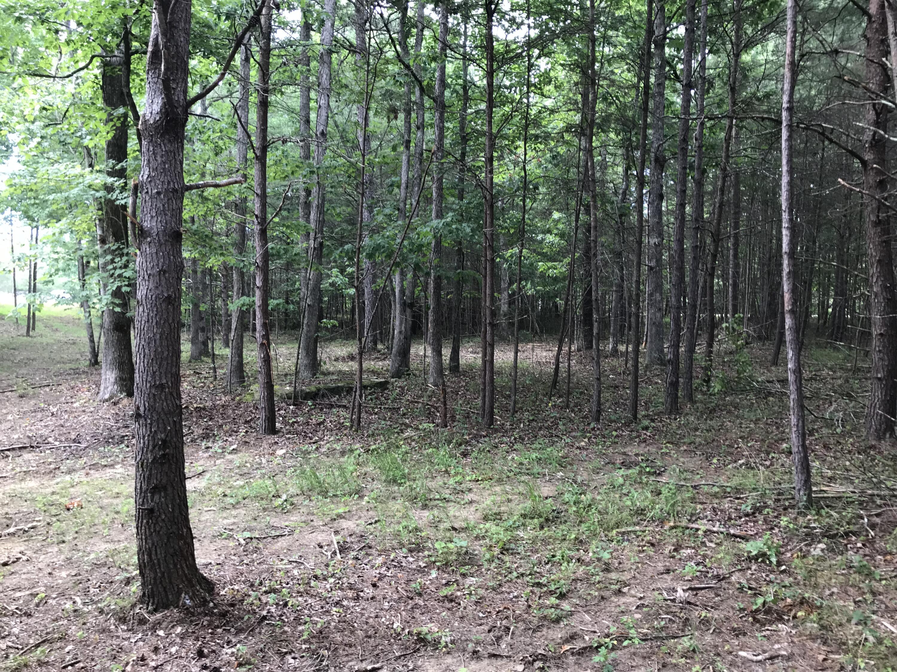 38 Quail Trail, Unit 38 Dunlap, TN 37327 - Photo 5 of 36 IMG_8534