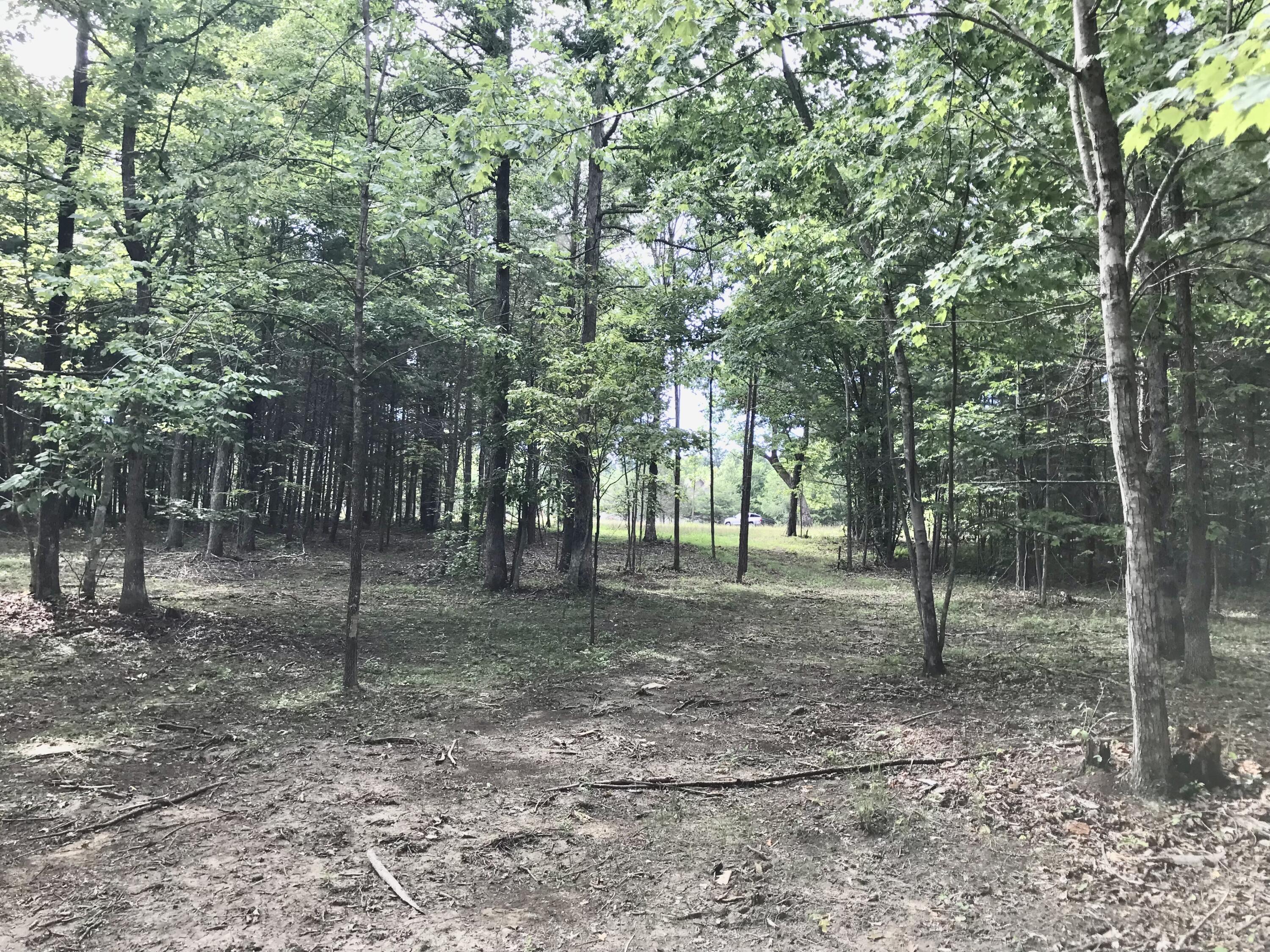 38 Quail Trail, Unit 38 Dunlap, TN 37327 - Photo 9 of 36 IMG_8542