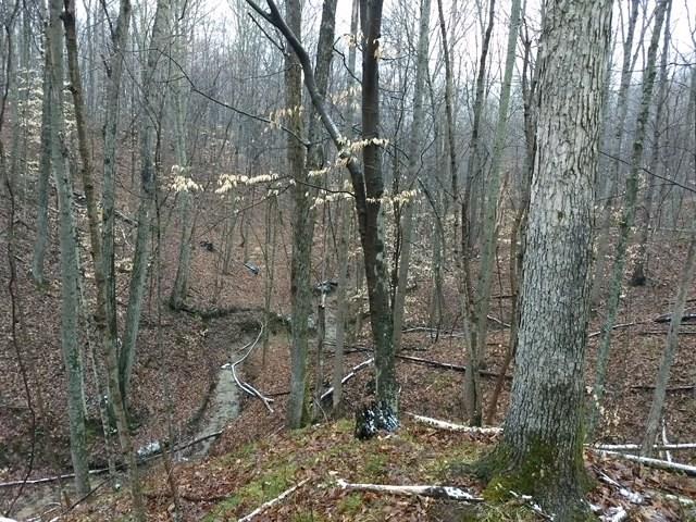 Gallery Image 6