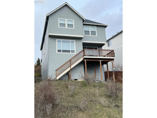 a view of backyard of house