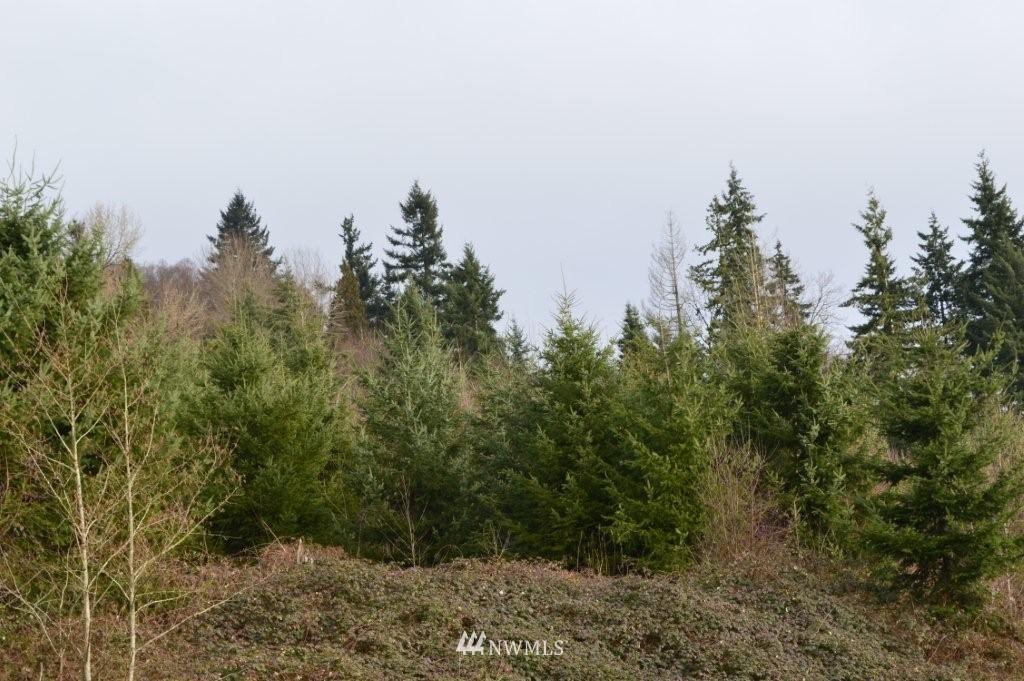 -10 Acres Columbia Heights Road Longview, WA 98632 - Photo 3 of 5 Gallery Image 3