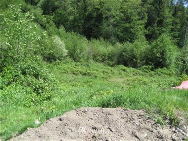 -10 Acres Columbia Heights Road Longview, WA 98632 - Photo 4 of 5 Gallery Image 4