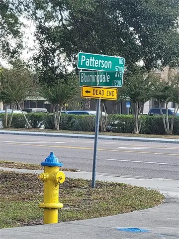 a view of a street with large trees