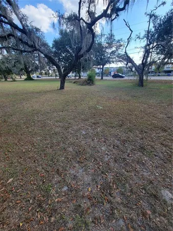 a view of backyard with green space