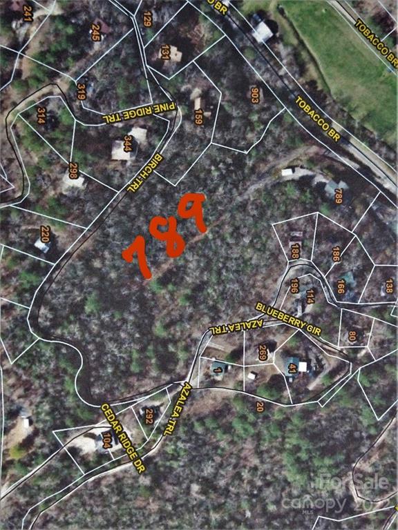 789 Tobacco Branch Road Almond, NC 28702 - Photo 33 of 42