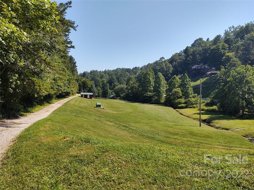 789 Tobacco Branch Road Almond, NC 28702 - Photo 39 of 42 a view of a field with a tree