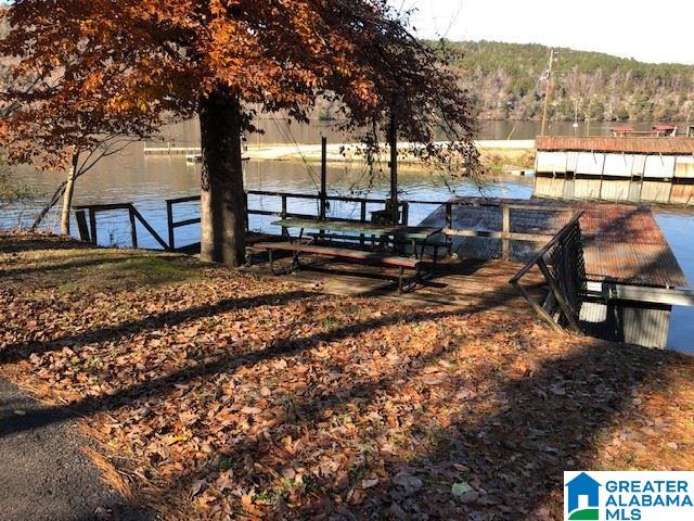217 Carlie Minor Road Adger, AL 35006 - Photo 17 of 17