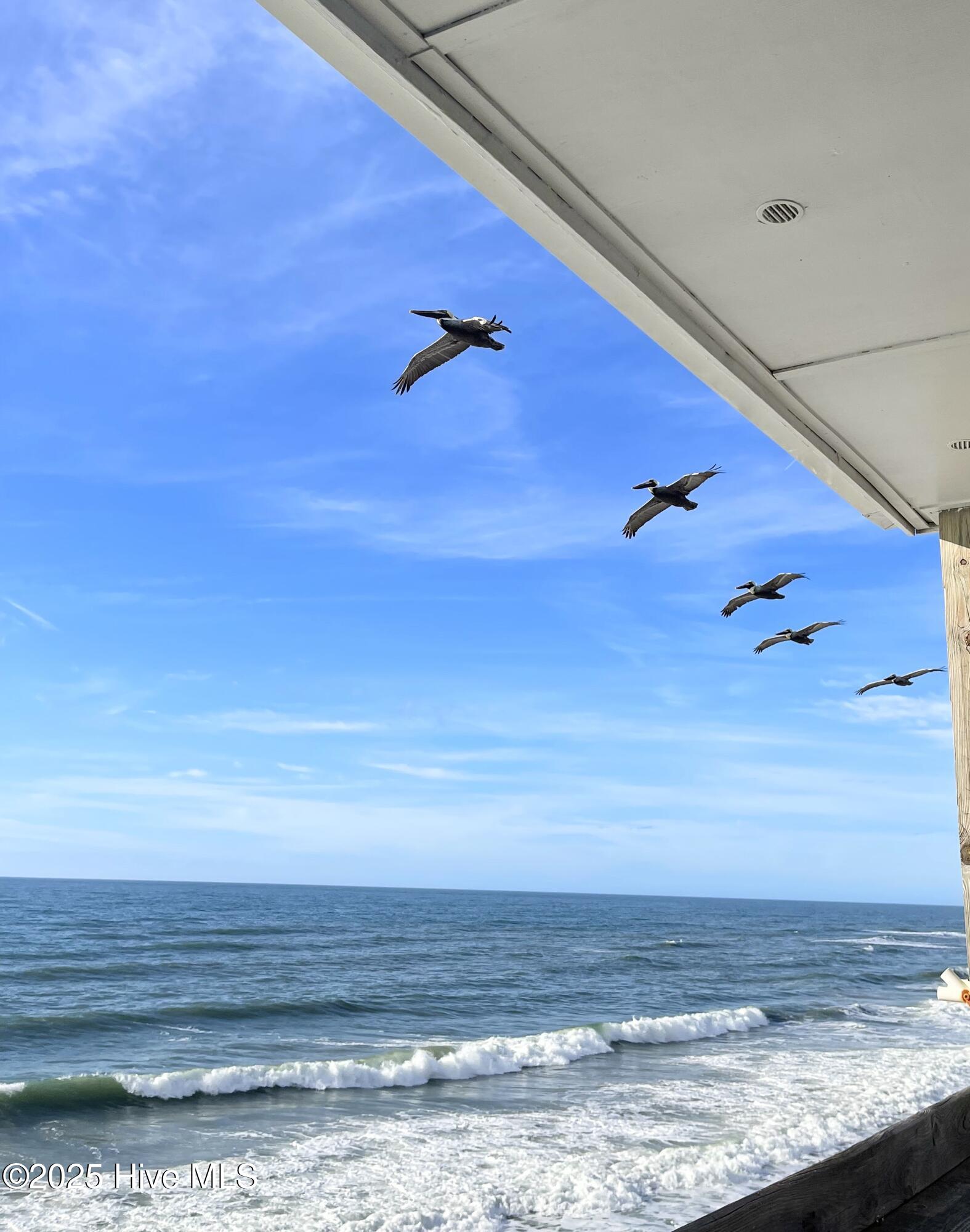 2224 New River Inlet Road, Unit 337 North Topsail Beach, NC 28460 - Photo 10 of 11 IMG_9258