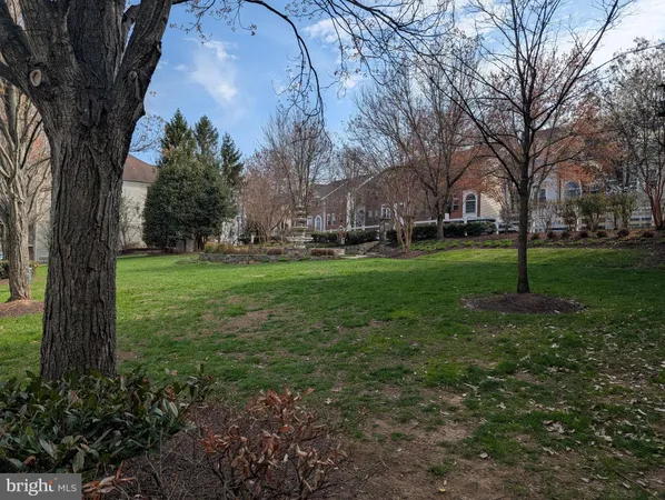a view of a trees in a park