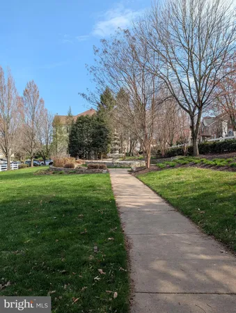 a view of a park with large trees