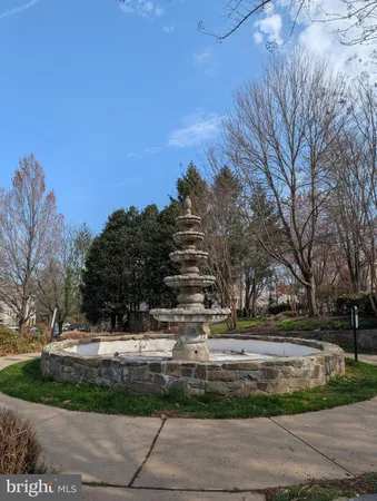 a view of large trees and a yard