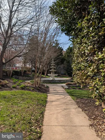 a view of park with large trees