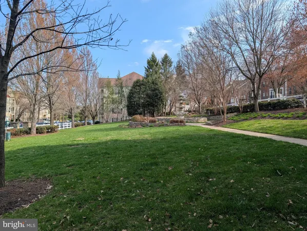 a garden view