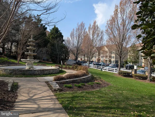 a view of a park with large trees