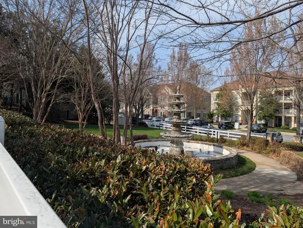 a view of a yard with plants and trees