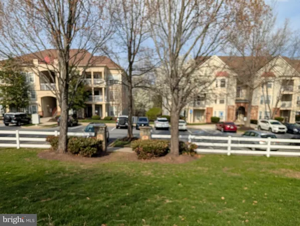 a view of a park that has a tree on the side of it