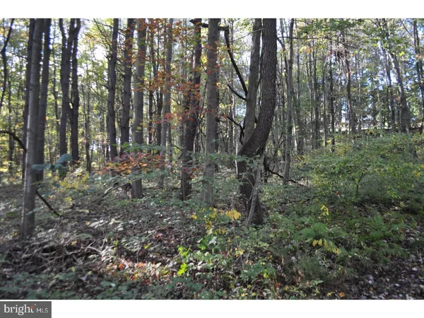 $135,000 | 2505 West End Avenue, Pottsville, PA 17901