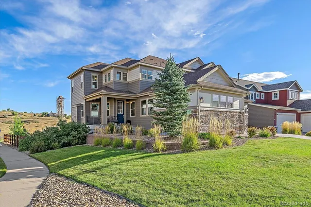 a view of a garden with a tree