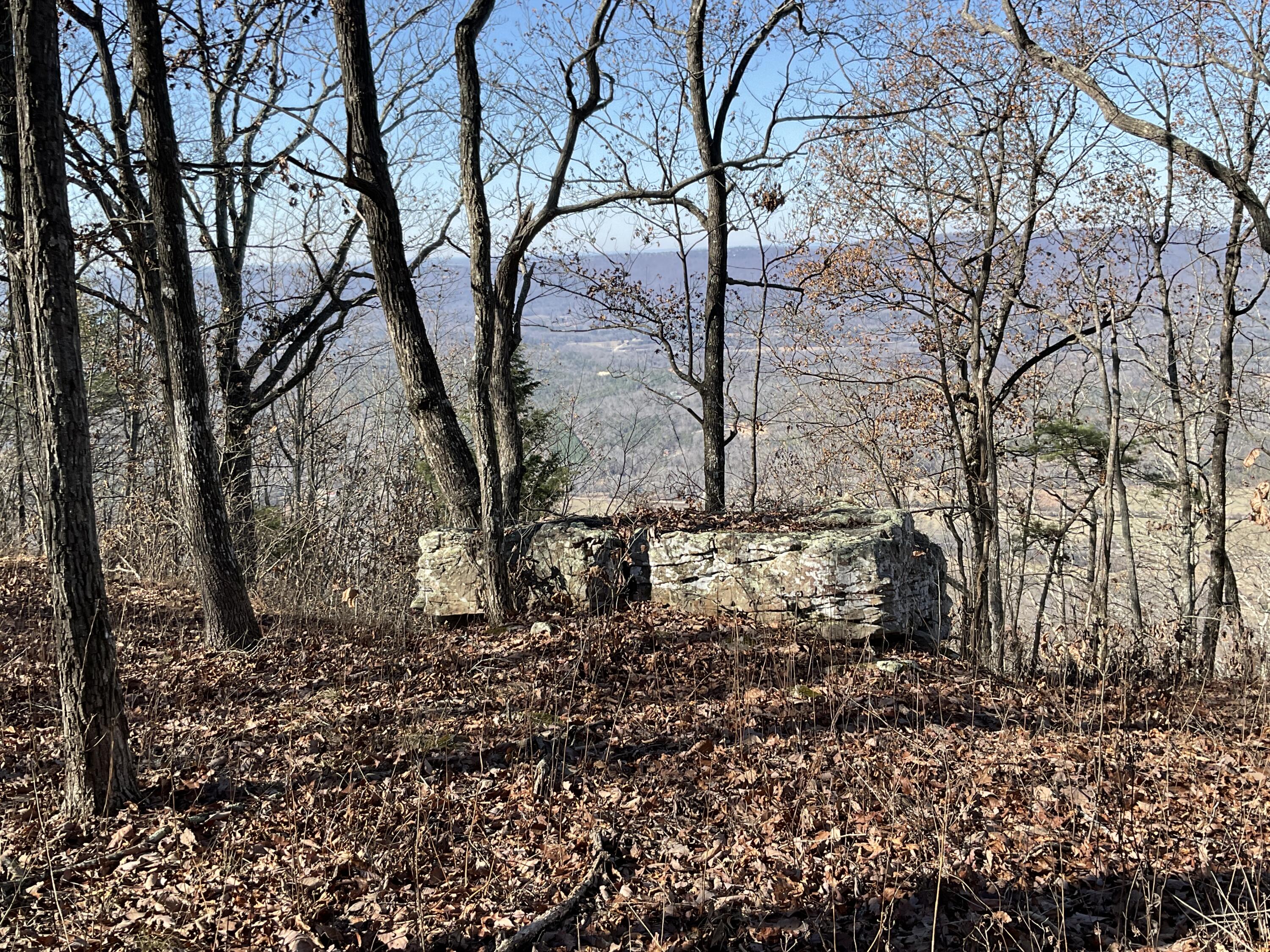 5712 Old State Road Menlo, GA 30731 - Photo 1 of 9 IMG_0375