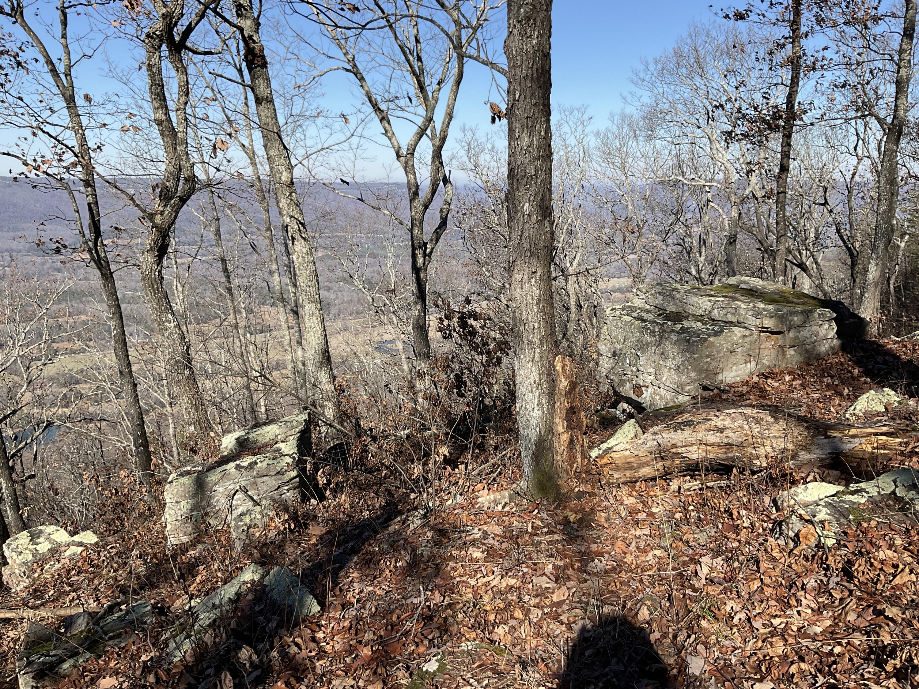 5712 Old State Road Menlo, GA 30731 - Photo 3 of 9 IMG_0370