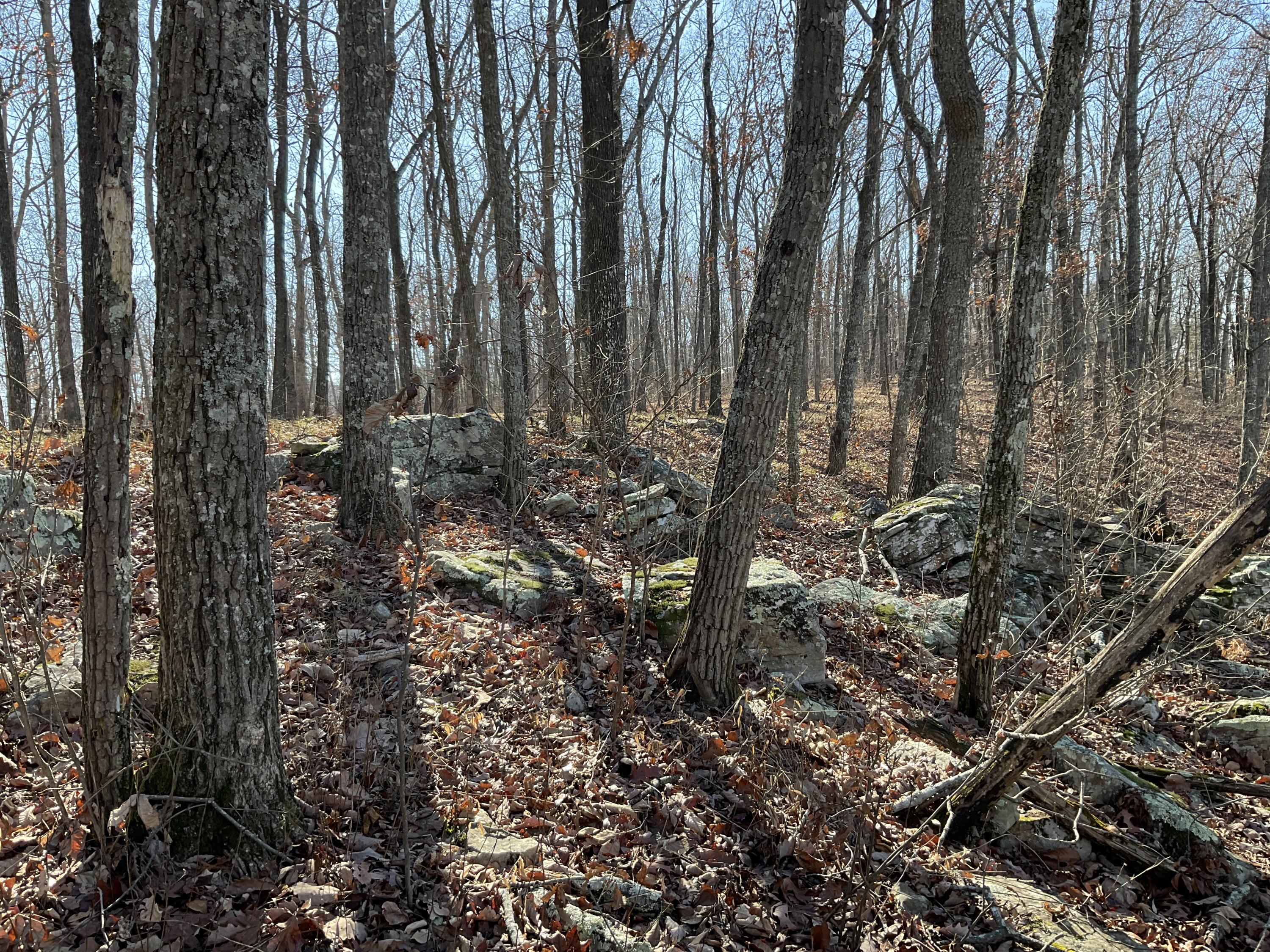 5712 Old State Road Menlo, GA 30731 - Photo 5 of 9 IMG_0371