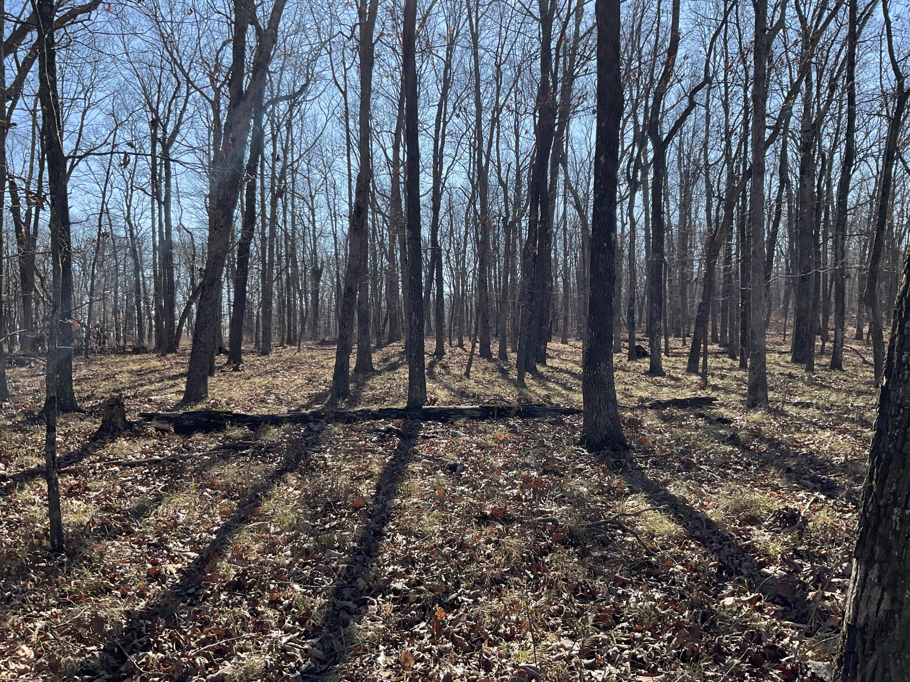 5712 Old State Road Menlo, GA 30731 - Photo 6 of 9 IMG_0372