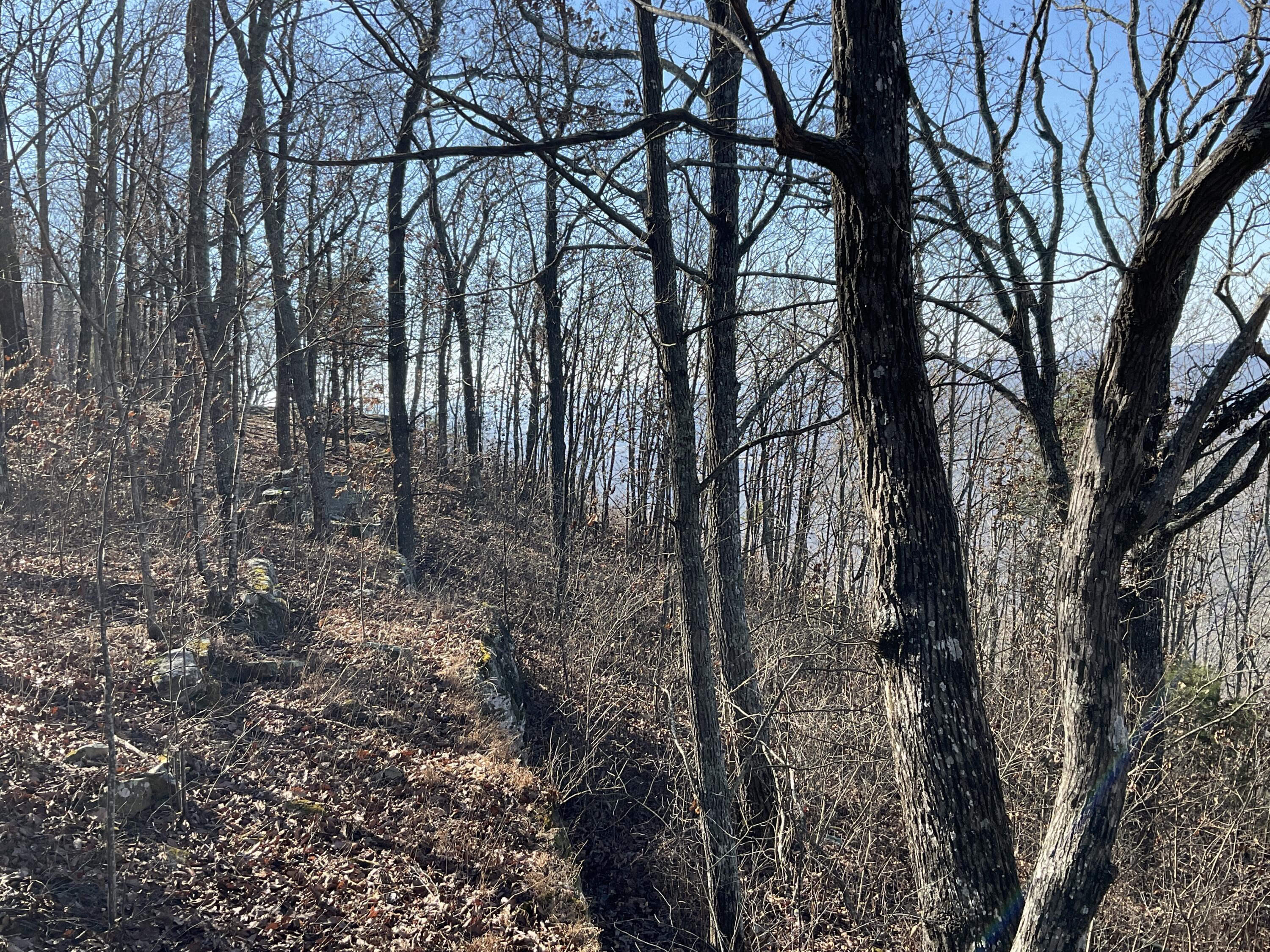 5712 Old State Road Menlo, GA 30731 - Photo 8 of 9 IMG_0376