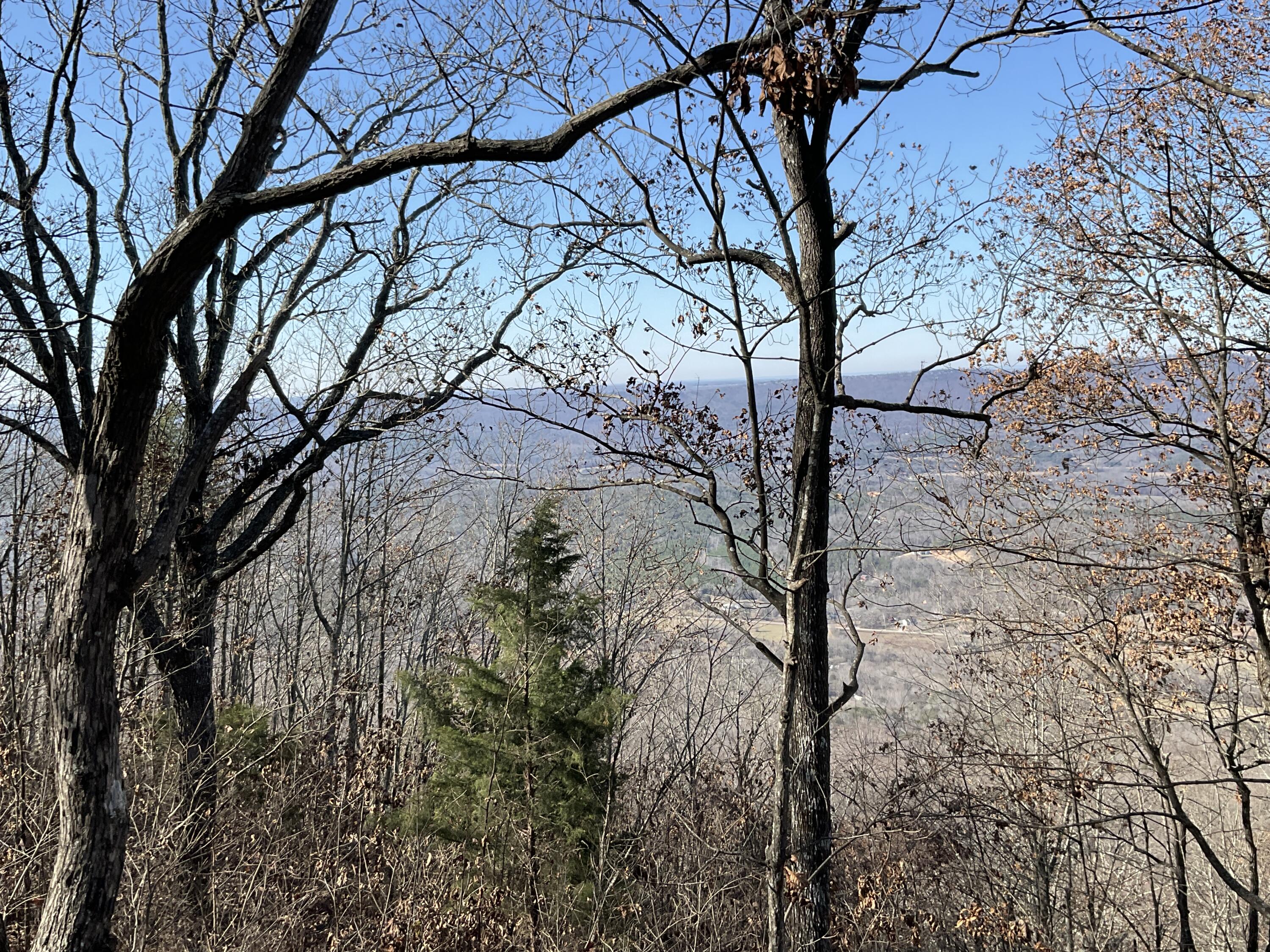 5712 Old State Road Menlo, GA 30731 - Photo 9 of 9 IMG_0377