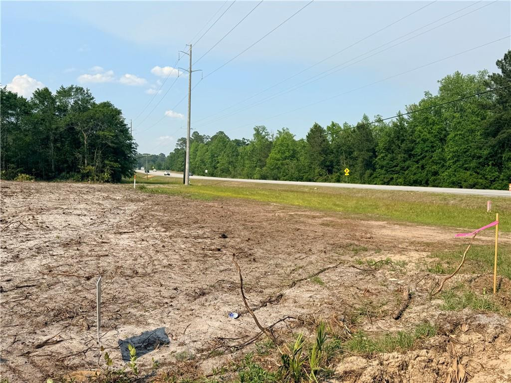 1 J L Harris Road Screven, GA 31560 - Photo 2 of 10 Gallery Image 2