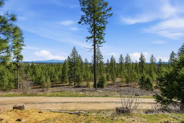 $700,000 | 4724 Price Road, Unit B, Clayton, WA 99110