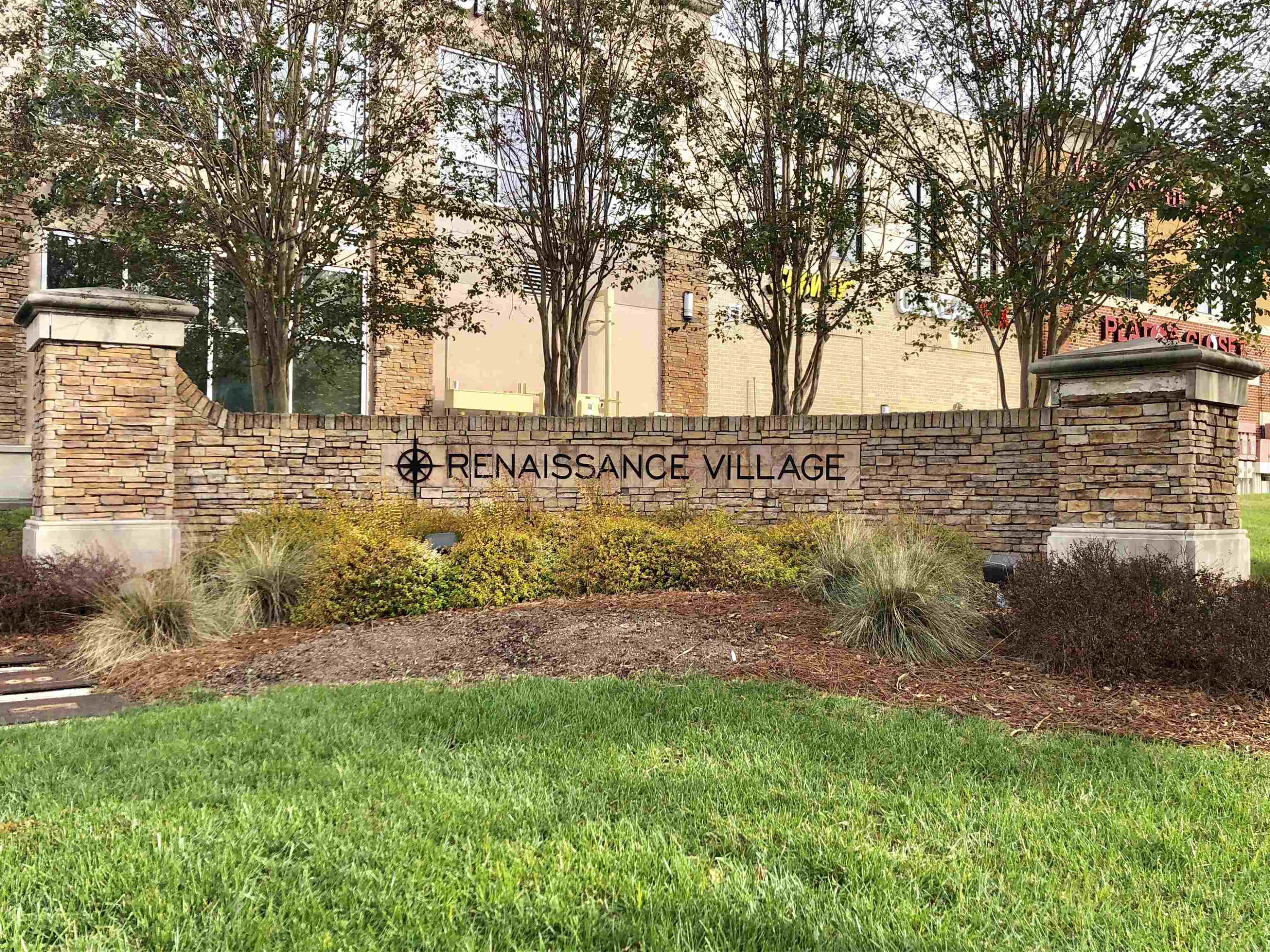 1108 Kentlands Drive Durham, NC 27713 - Photo 44 of 49 a view of yard with tree
