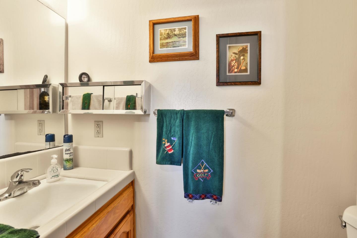 15 Rays Circle Hollister, CA 95023 - Photo 28 of 41 a bathroom with a sink and a mirror