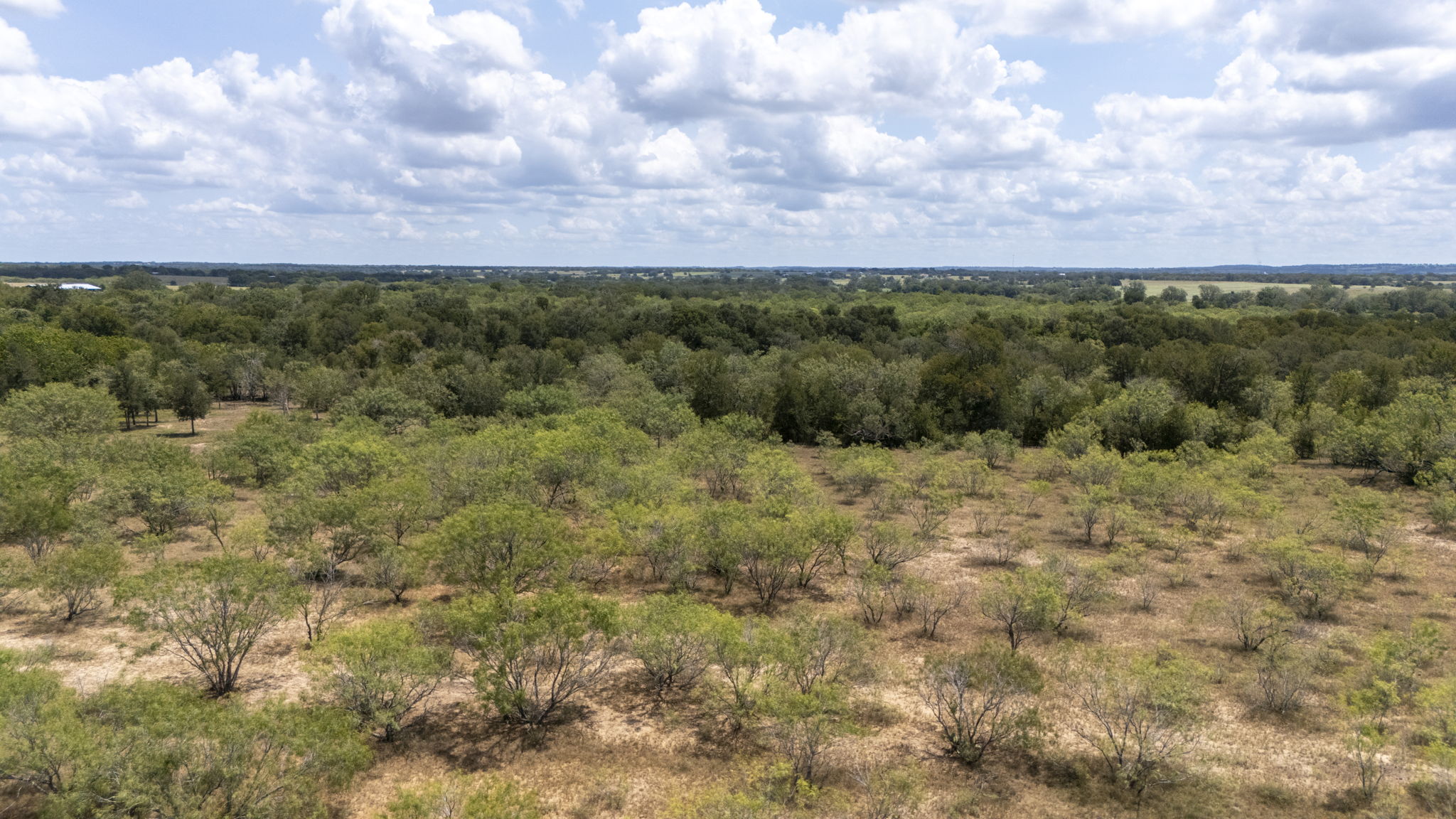 Tbd Fox Lane Lockhart, TX 78644 - Photo 24 of 35 a view of a big yard with lots of bushes