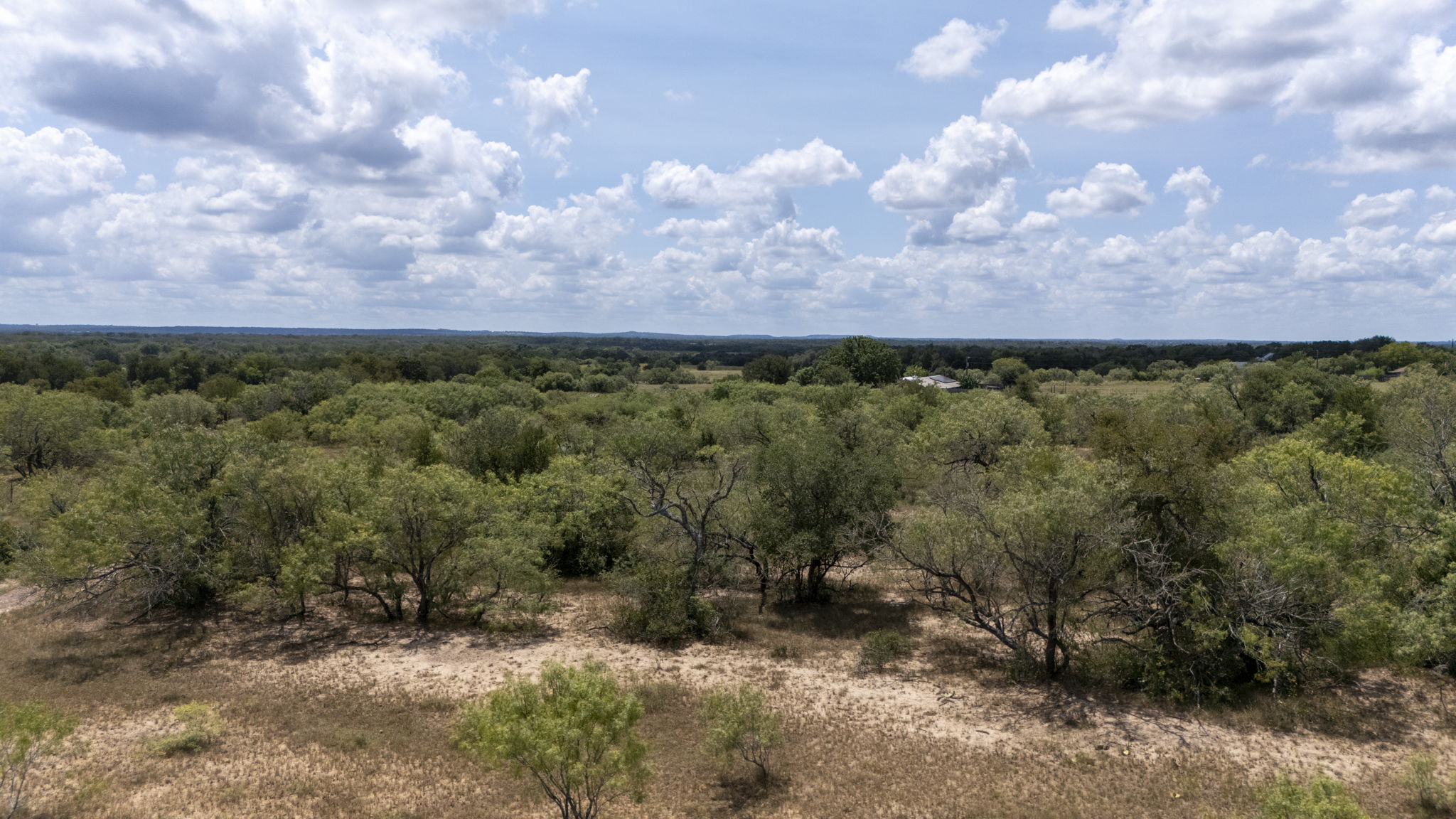 Tbd Fox Lane Lockhart, TX 78644 - Photo 25 of 35 a view of a yard