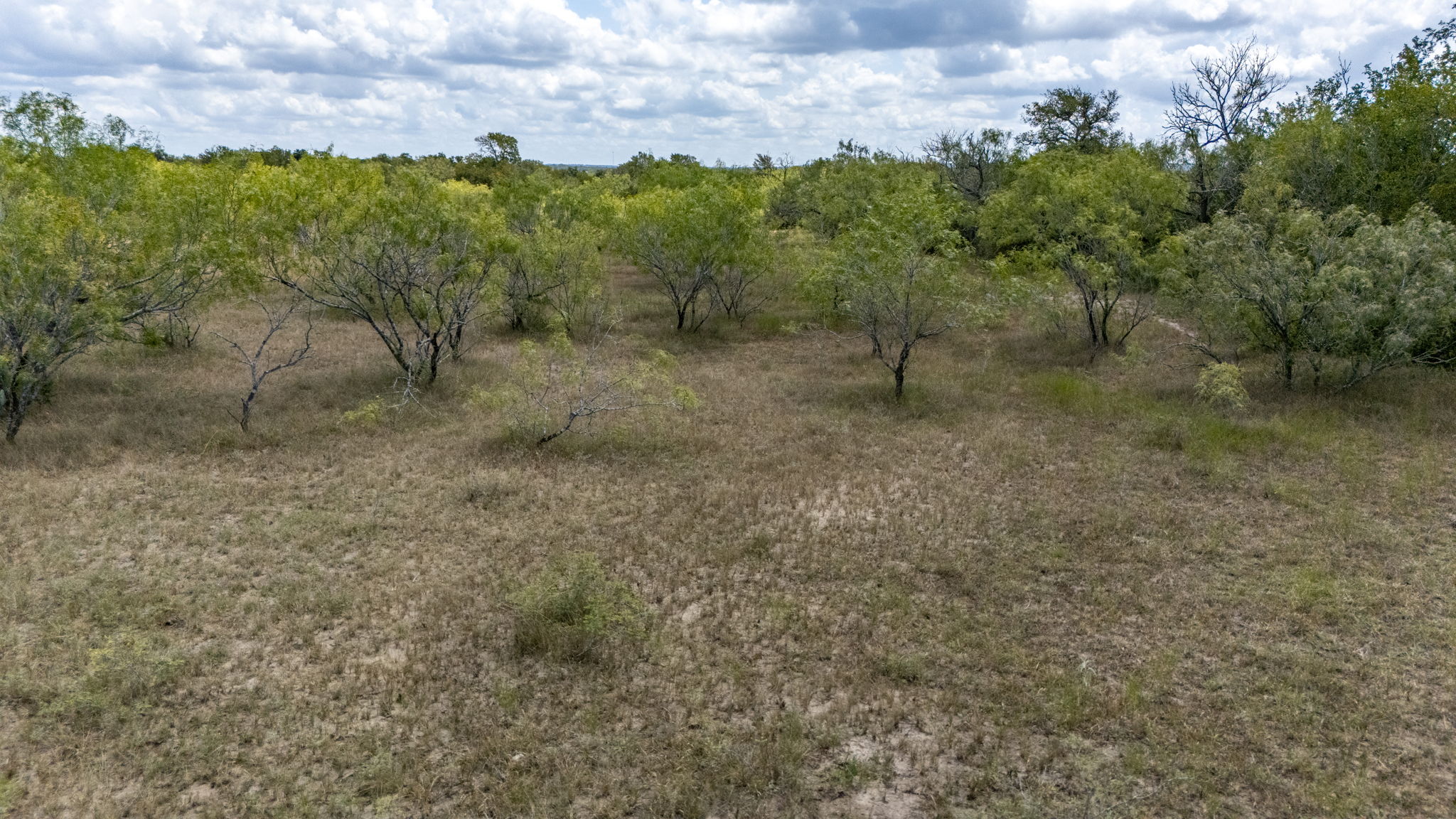 Tbd Fox Lane Lockhart, TX 78644 - Photo 28 of 35 a view of a yard with a tree