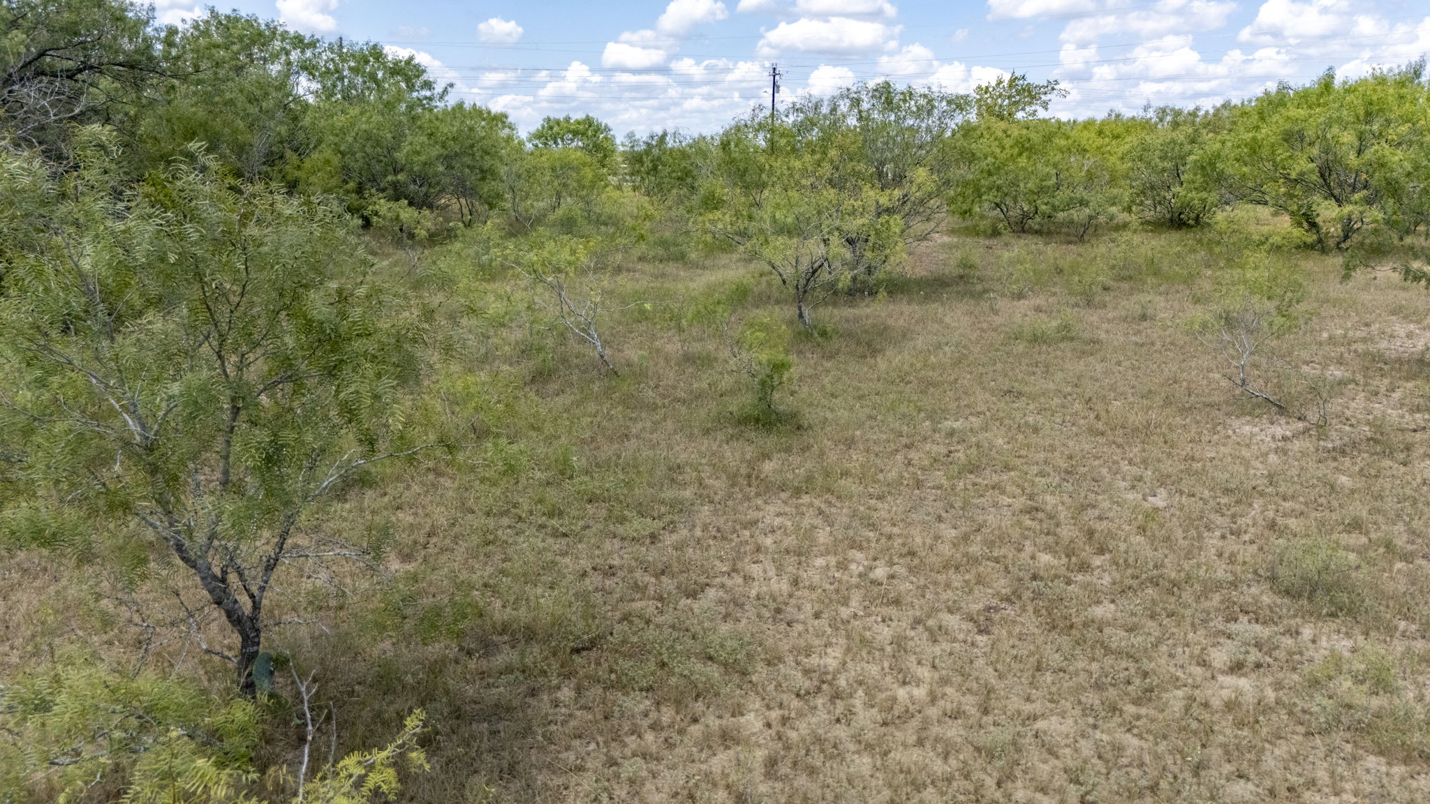 Tbd Fox Lane Lockhart, TX 78644 - Photo 30 of 35 a view of a yard with a tree