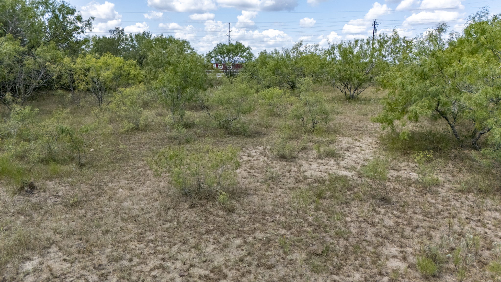 Tbd Fox Lane Lockhart, TX 78644 - Photo 31 of 35 a view of a field with trees in the background