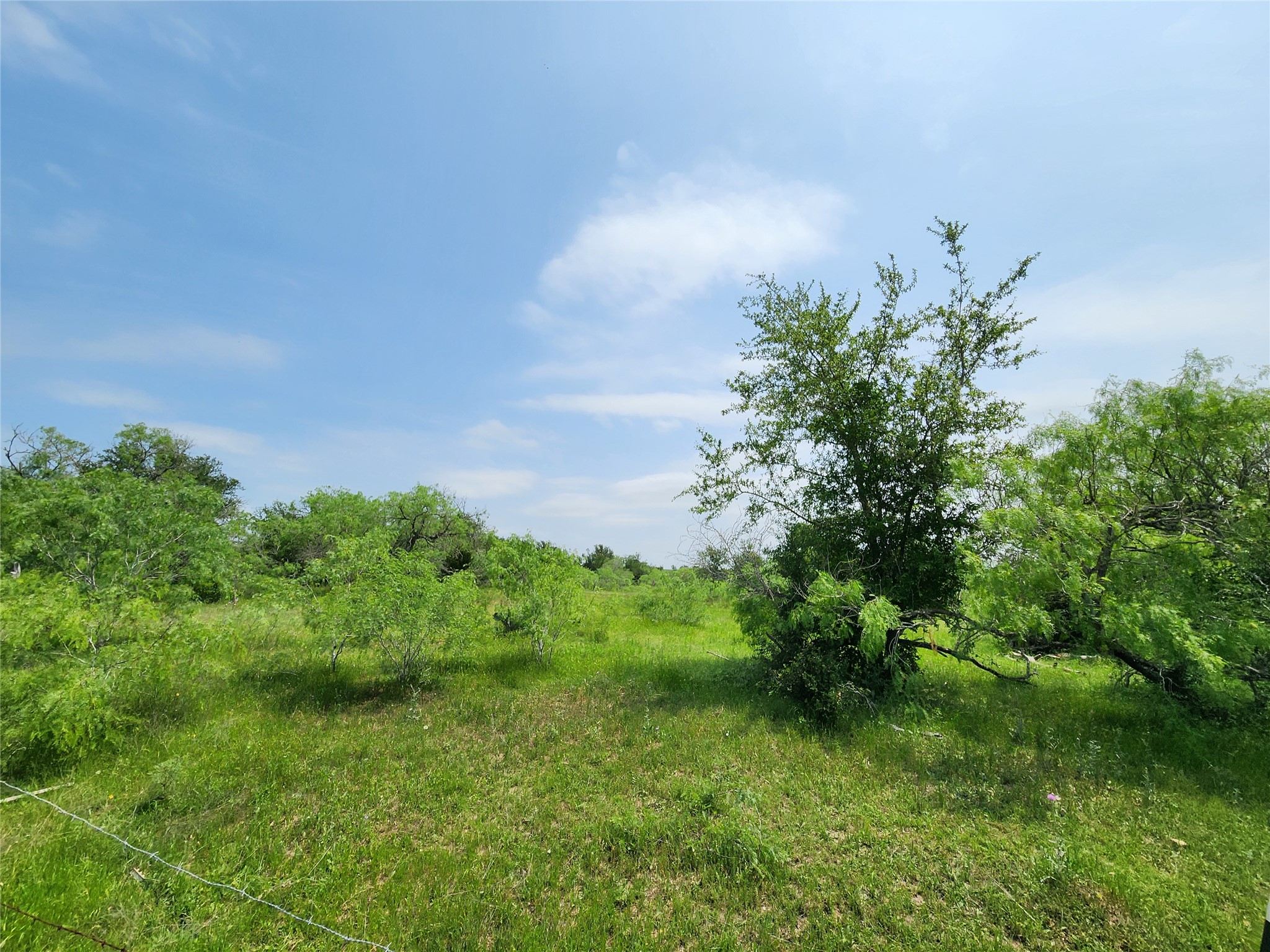 Tbd Fox Lane Lockhart, TX 78644 - Photo 32 of 35 a view of a garden