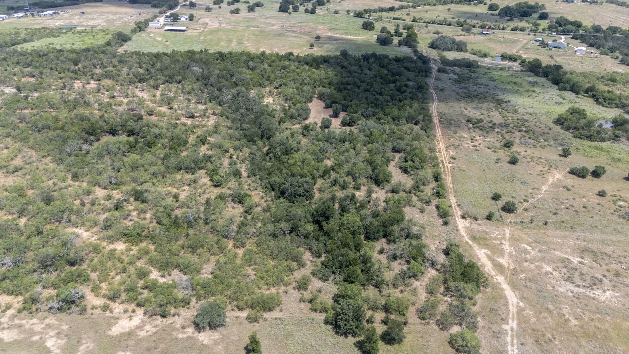 Tbd Fox Lane Lockhart, TX 78644 - Photo 10 of 35 a view of a forest with a forest