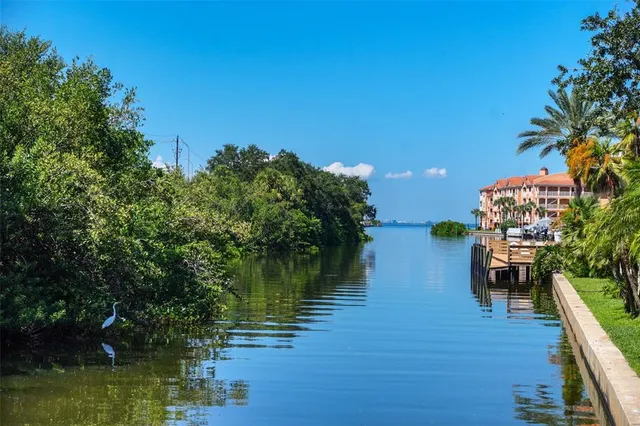 $1,750 | 5000 Culbreath Key Way, Unit 8206, Tampa, FL 33611