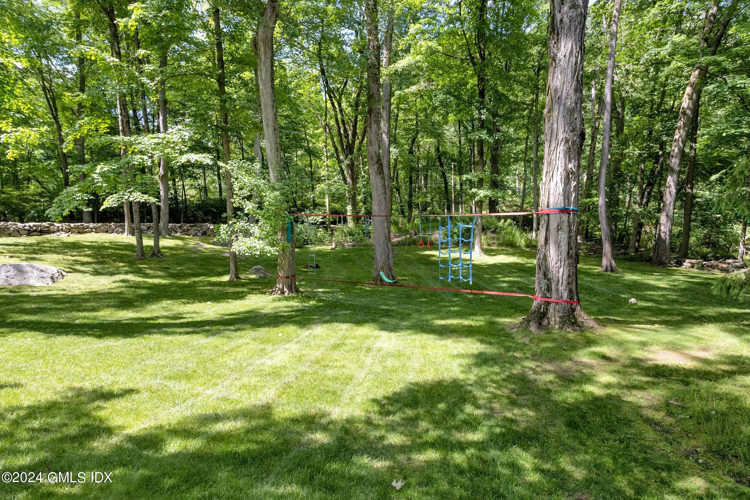 12 Guinea Road Greenwich, CT 06830 - Photo 33 of 38 a view of a park with large trees