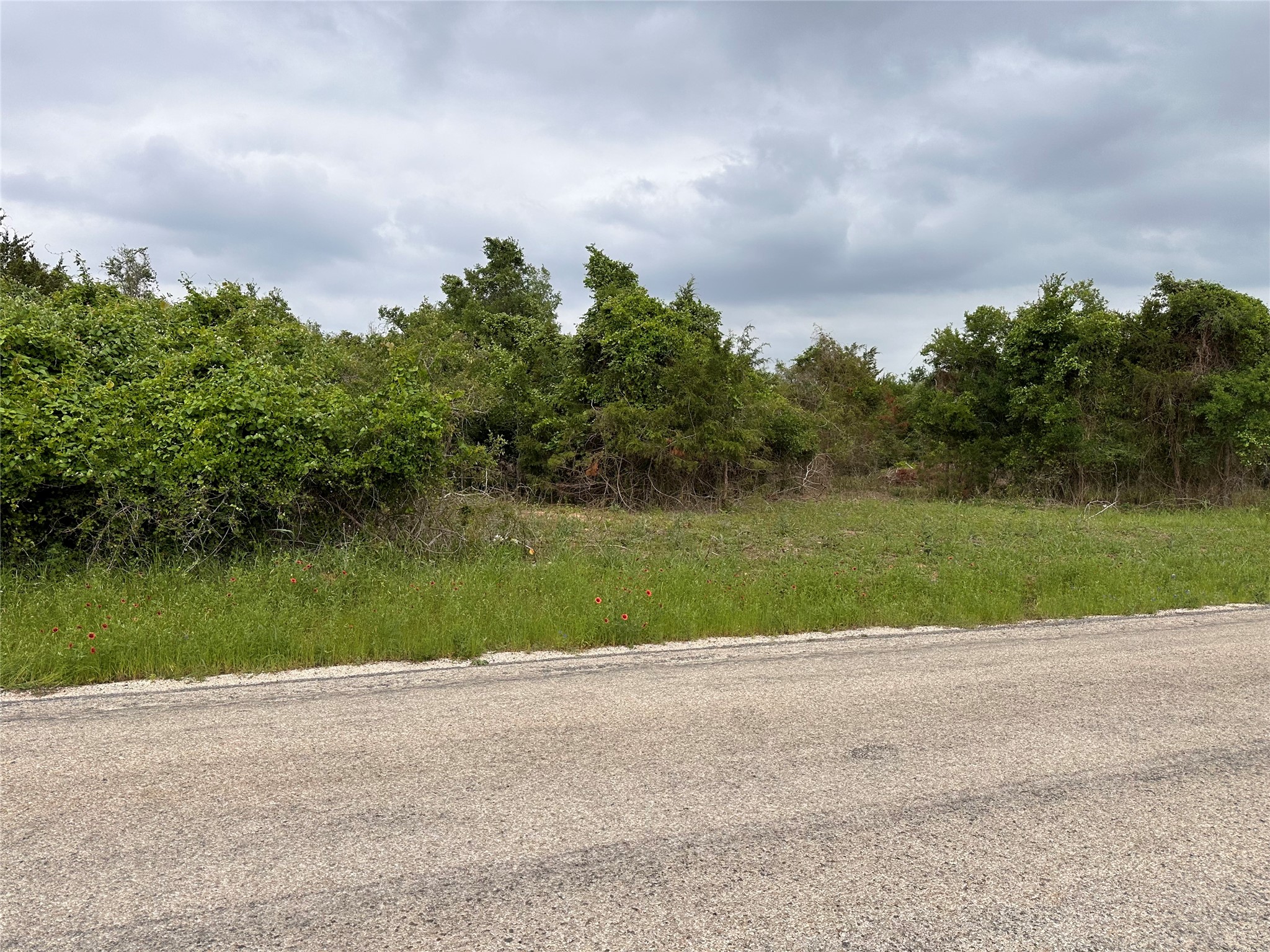 308 Riverside Drive Bastrop, TX 78602 - Photo 1 of 1 Gallery Image 1
