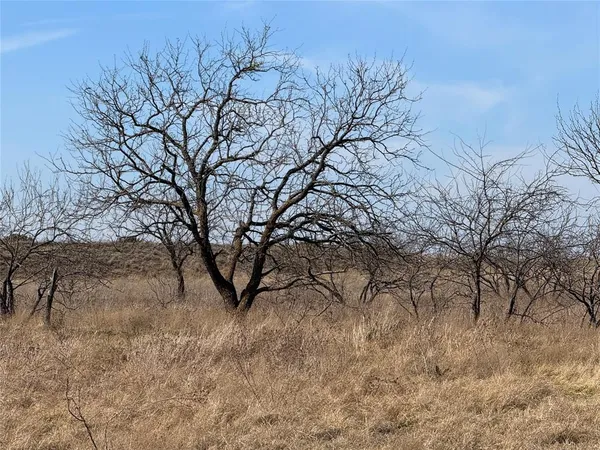 $1,575,000 | 620 Hamilton Tx 76531, Hamilton, TX 76531