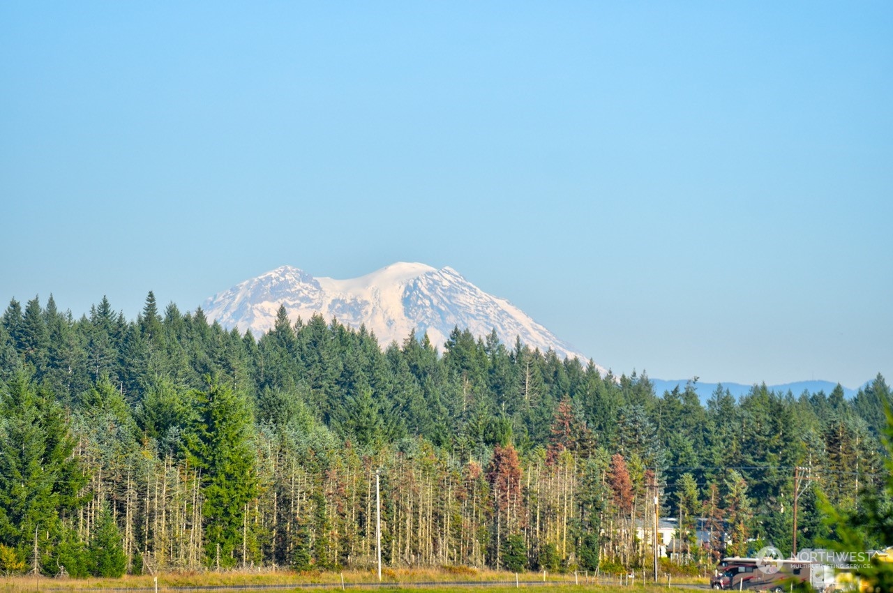 168 Racyn Lane Winlock, WA 98596 - Photo 5 of 8 a view of a dry yard with trees in the background
