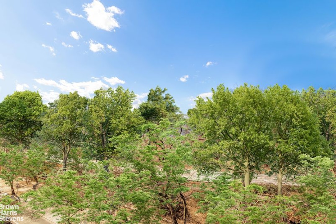 1133 5th Avenue, Unit 7A Manhattan, NY 10128 - Photo 3 of 12 a view of a garden