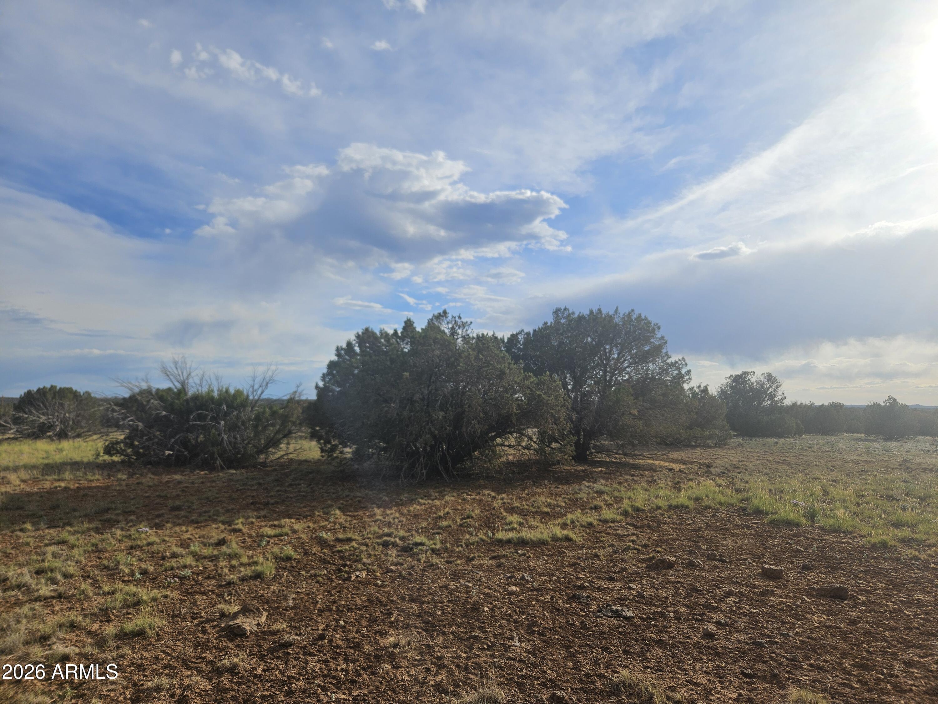 2429 Bourdon Ranch Road, Unit F Show Low, AZ 85901 - Photo 10 of 11