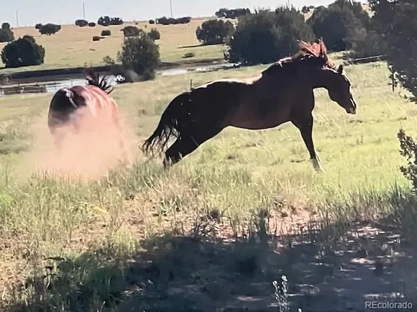 $510,000 | 5355 Sunflower Lane, Pueblo, CO 81004