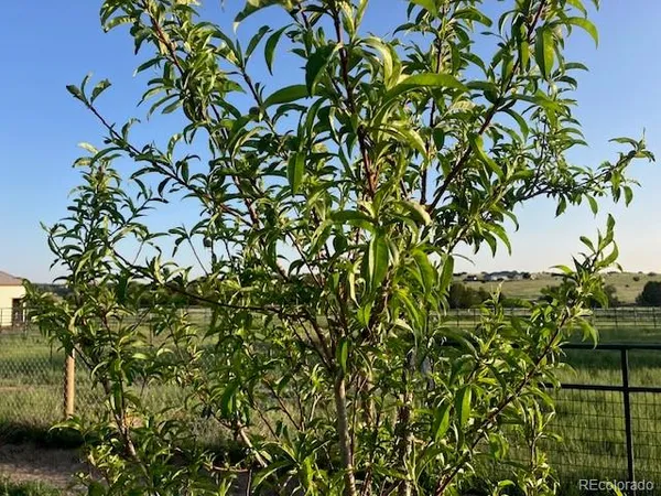 $510,000 | 5355 Sunflower Lane, Pueblo, CO 81004