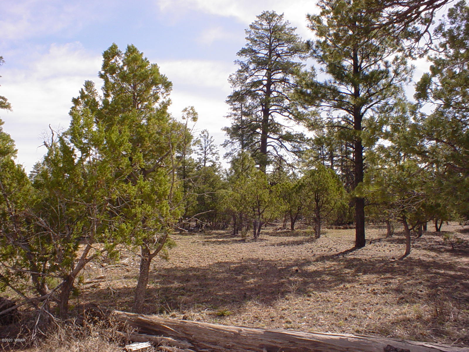Tbd Tbd Mcmurray's Way Overgaard, AZ 85933 - Photo 2 of 8