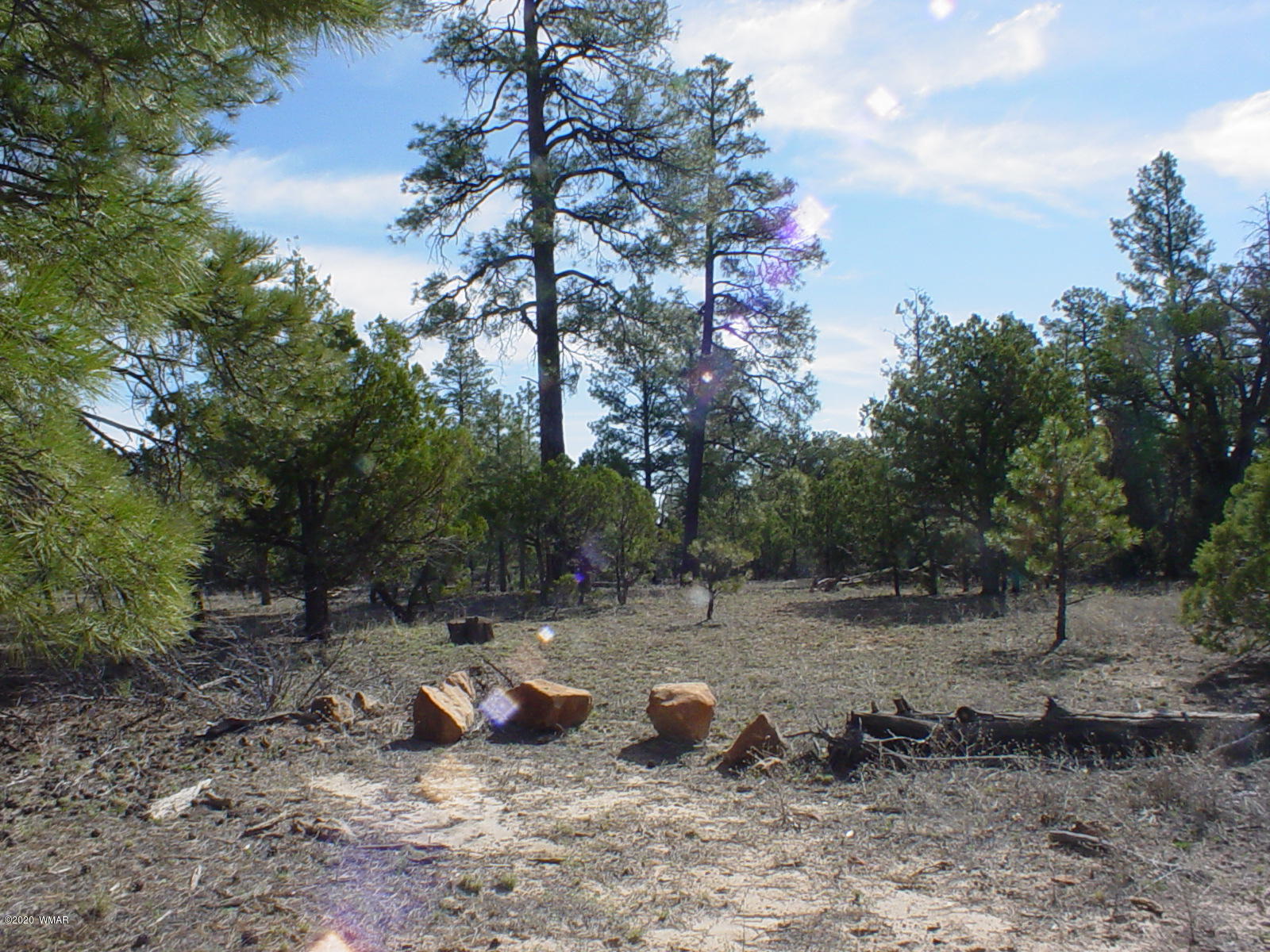 Tbd Tbd Mcmurray's Way Overgaard, AZ 85933 - Photo 3 of 8